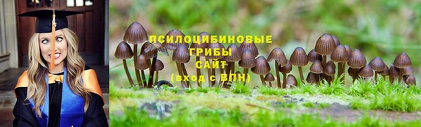 трава Покачи