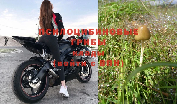 гидра Луховицы